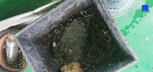 오피스텔 베란다 배수구 정비 누상동 하수구막힘 오피스텔 베란다 배수구 정비